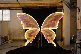 BG24300蝴蝶翅膀背景（运费自理）