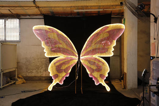 BG24300蝴蝶翅膀背景（运费自理） 商品图0