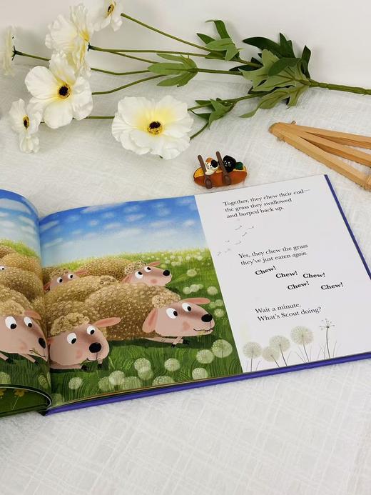 【Clavis】What about scout? 原版英文绘本 商品图5