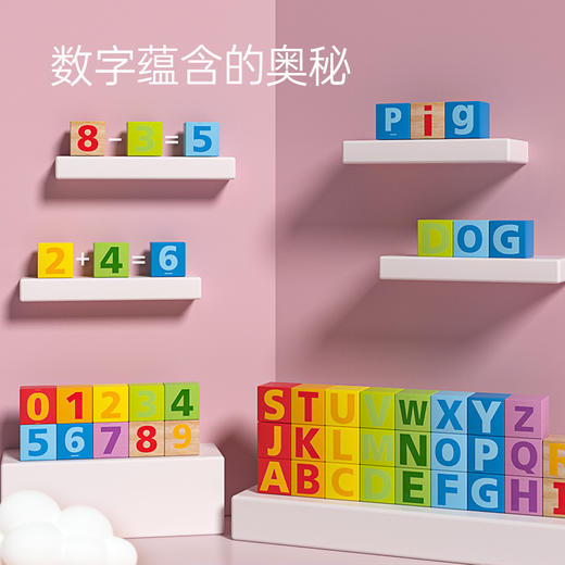 Hape木质积木 大颗粒盒装木头宝宝拼装玩具1-3岁男女小孩儿童礼物 80粒盒装积木E8022 商品图3