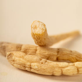 识百草②期丨让太医都夸“会补”的小人参，专治春天的焉娃娃