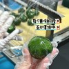 【春季限定 🍀蒸款青团】1盒6枚，新鲜艾草青团！传统手艺，新鲜制作，成分干净！中通快递！72小时内新鲜制作发出 商品缩略图9