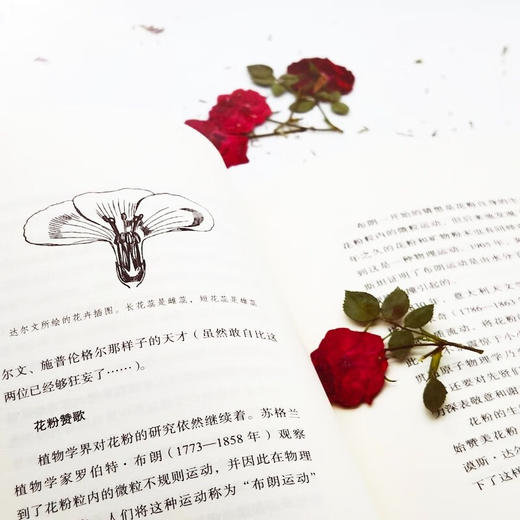 花粉症与人类：让人“痛哭流涕”的小历史 商品图4