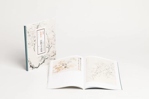 《大师课堂：陆抑非白描写生画稿》张渊编著 陆抑非 绘 商品图2