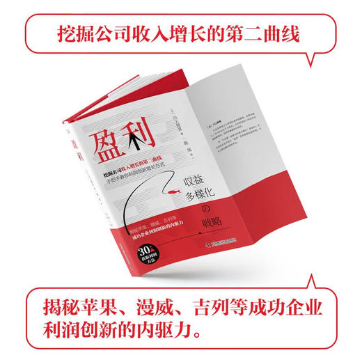 盈利：一本书讲透如何实现企业收益多样化 商品图3