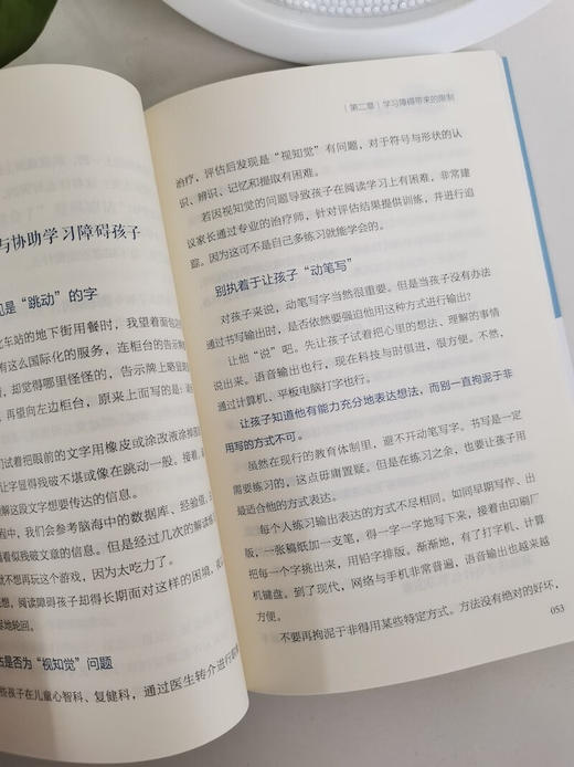学习障碍：逃不出的学习噩梦 商品图4