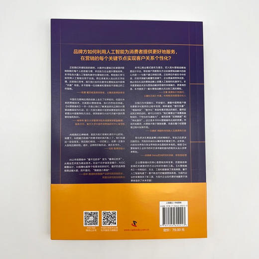 AI营销画布：数字化营销的落地与实战 商品图8