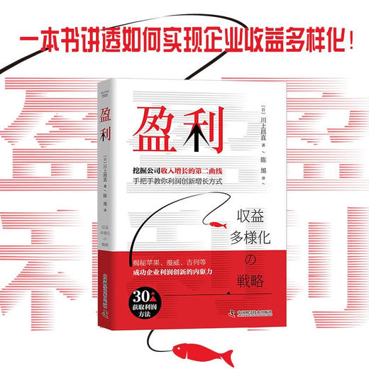 盈利：一本书讲透如何实现企业收益多样化 商品图0