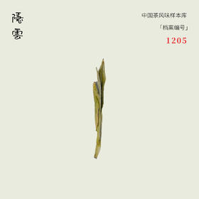 云曼｜2025年安吉白