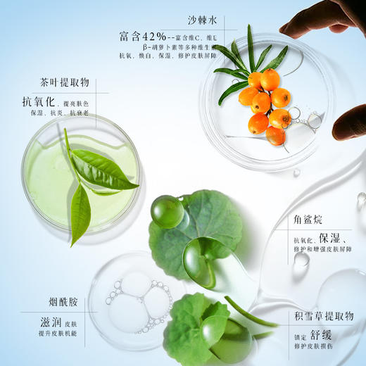 PF79 韩国进口气垫防晒SPF50买大送小 25G+8G 商品图5