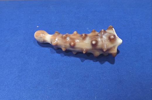 海参手把件 商品图0