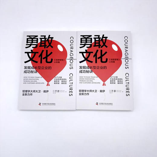 勇敢文化：发掘成长型企业的成功秘诀 商品图5