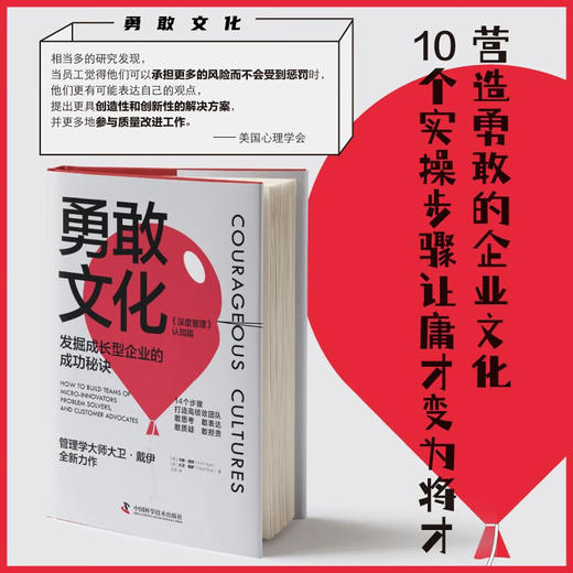 勇敢文化：发掘成长型企业的成功秘诀 商品图0