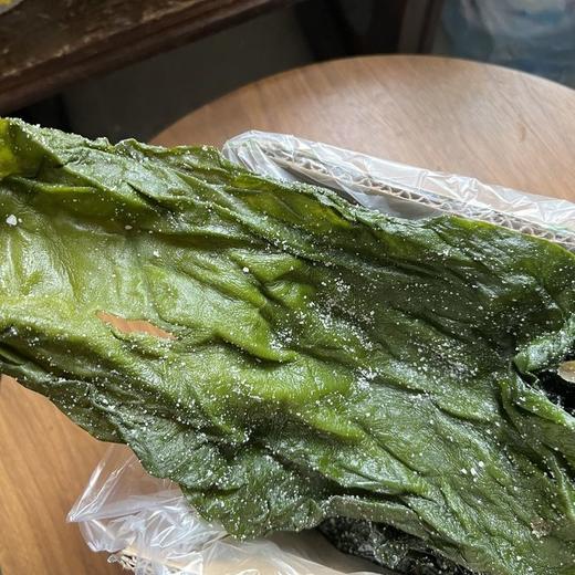 出口级有机海带  5斤装 商品图1