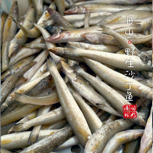 【闹妈海鲜】【热气】舟山黄沙丁鱼 各种规格 按斤卖 商品图4