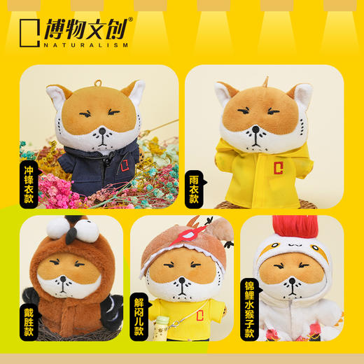 博物文创 狐主任毛绒娃娃 狐闹   藏狐 无穷小亮张辰亮同款 鉴定一下网络热门生物 和狐主任一起看世界 商品图3