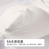 都市丽人日常休闲人棉平角50S人棉平角裤FKHC19 商品缩略图7