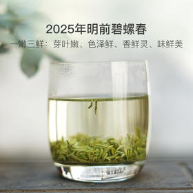 碧螺春 | 明前采摘“鲜”人一步，鲜春滋味清爽甘醇
