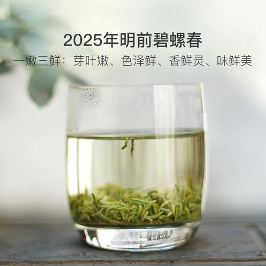 碧螺春 | 明前采摘“鲜”人一步，鲜春滋味清爽甘醇 商品图0