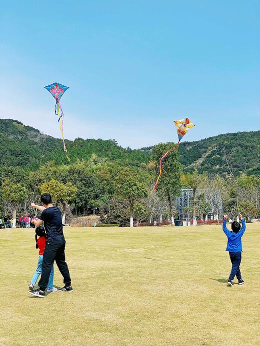 【出游好物丨吾家春季风筝系列】选用优质布料，轻盈结实高韧性不易破裂，包边加固玻璃钢撑杆，不易折断轻巧易飞，卡通图案加飘带，风一吹很灵动大小朋友都喜欢，周末阳光正好，微风不燥，最适合和孩子一起放风筝了 商品图6