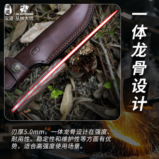 汉道丛林大师户外刀 商品图6