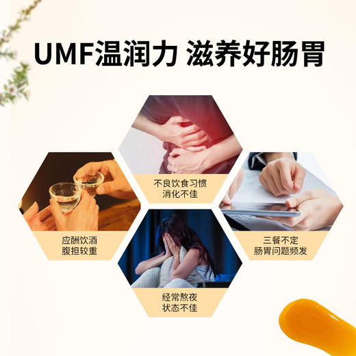 comvita 康维他 麦卢卡花蜂蜜（UMF15+）250g 商品图2