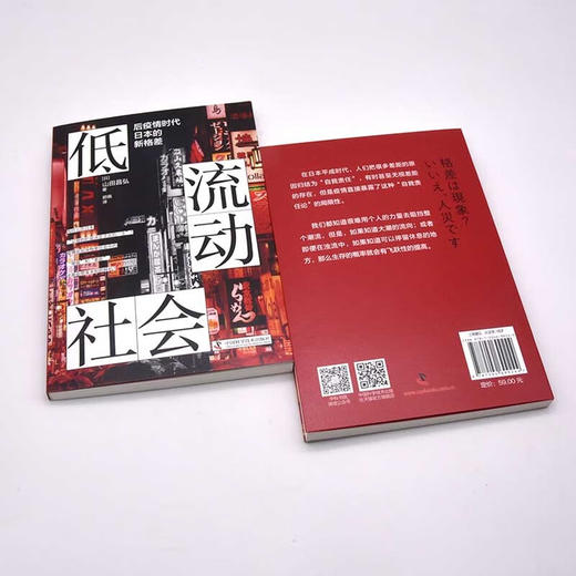 低流动社会：后疫情时代日本的新格差 商品图5