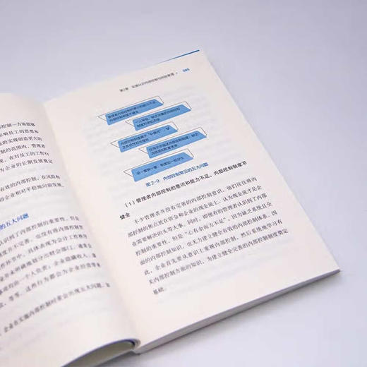 企业内部控制与风险管理实战：四大经营领域专家手把手教你如何实现企业内部控制和风险管理 商品图7