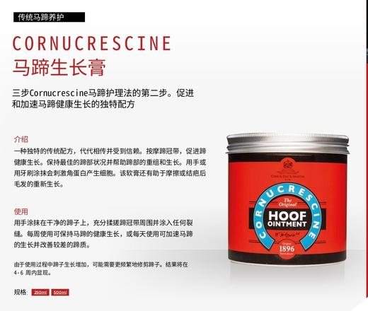 马匹受伤养护套装-药用洗发液马匹清洁马匹护理洗发水CDM 商品图4