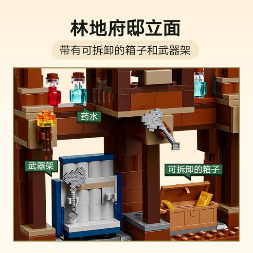 乐高LEGO Minecraft 21272LEGC21272 商品图4