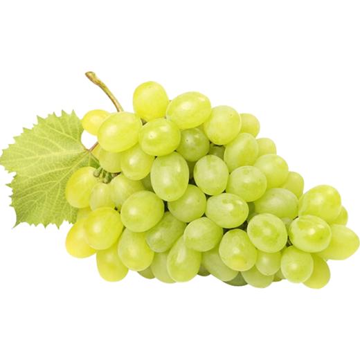 澳洲甜蜜地球青提1kg（家庭装） 商品图0