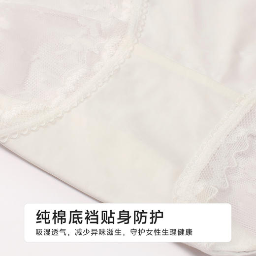 都市丽人薄透丝滑蕾丝网布系列蕾丝平角裤LKH5K2 商品图7