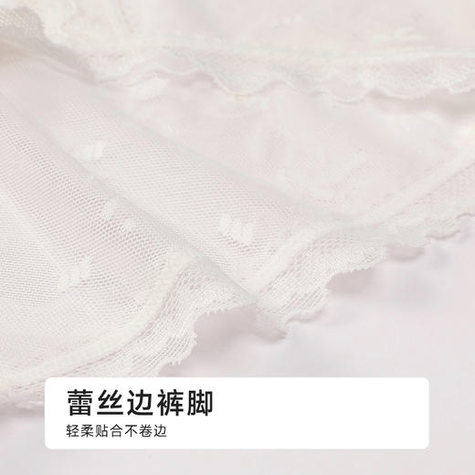 都市丽人薄透丝滑蕾丝网布系列蕾丝平角裤LKH5K2 商品图5