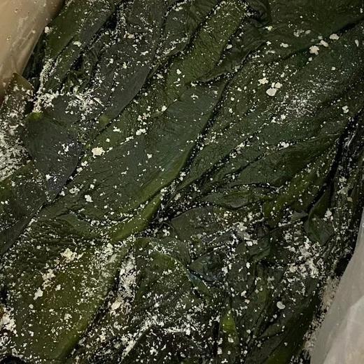 出口级有机海带  5斤装 商品图0