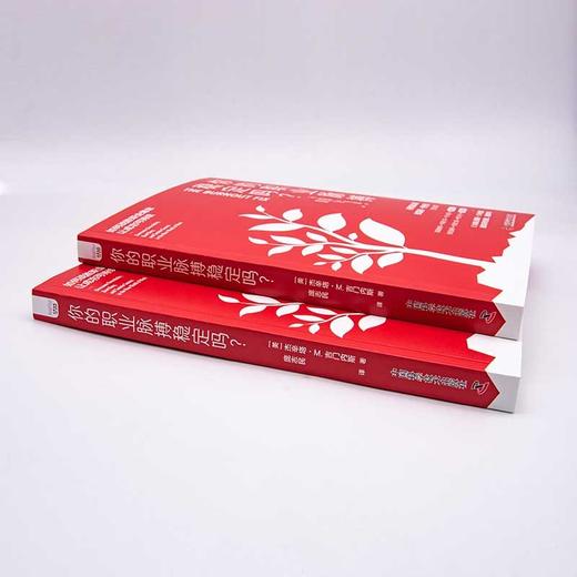 你的职业脉搏稳定吗？ 商品图5