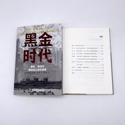 黑金时代：煤炭、政治与美国的工业化抉择（精装典藏版） 商品图7