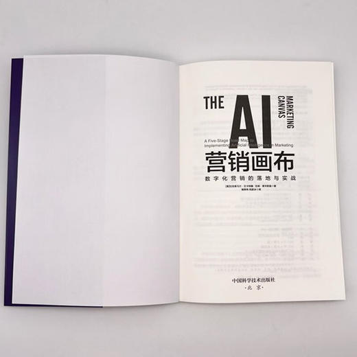 AI营销画布：数字化营销的落地与实战 商品图7