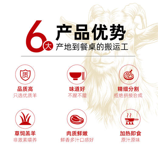 【陕北速食】陕西米脂羊蝎子火锅1.2kg 商品图2