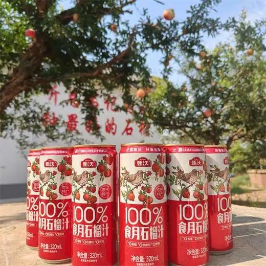 甄沃食月石榴汁 商品图4