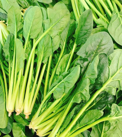 山东菠菜 | 蔬菜 商品图0