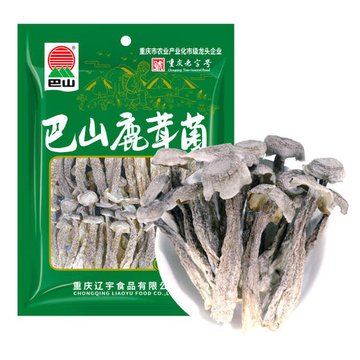 巴山鹿茸菌70g 商品图5