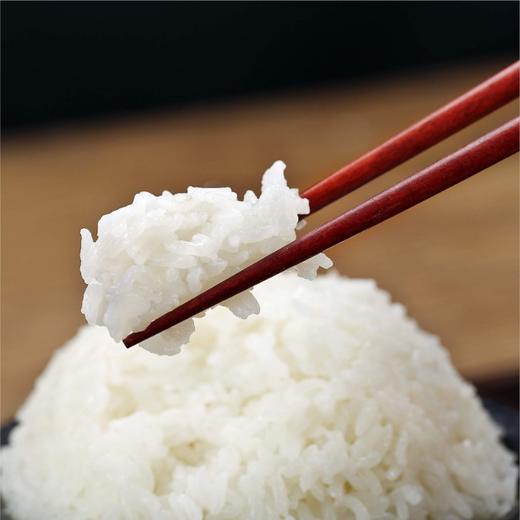 【龙稻】五常大米 京享膳品 5KG 商品图2