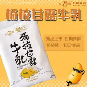 【红梅乳业】杨枝甘露牛乳180ml*16