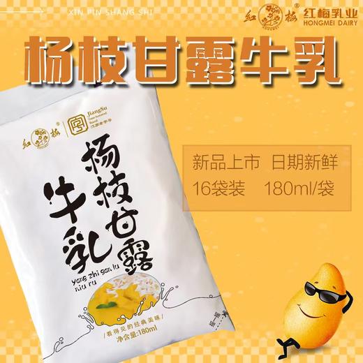 【红梅乳业】杨枝甘露牛乳180ml*16 商品图0