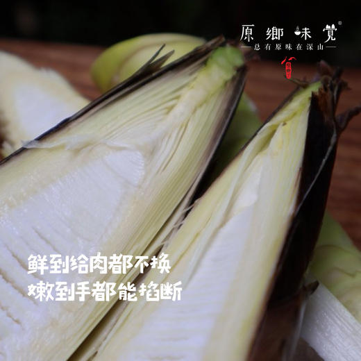 生态雷竹笋（基地直发-顺丰包邮 ）｜4.5斤/箱，来自四川蒲江，生产者：张家银【合作生产，公平贸易】 商品图2