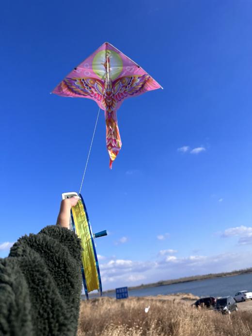 【出游好物丨吾家春季风筝系列】选用优质布料，轻盈结实高韧性不易破裂，包边加固玻璃钢撑杆，不易折断轻巧易飞，卡通图案加飘带，风一吹很灵动大小朋友都喜欢，周末阳光正好，微风不燥，最适合和孩子一起放风筝了 商品图7