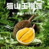 【BF】猫山王榴莲精品整果A级（房数保证 不足包赔） 商品缩略图6