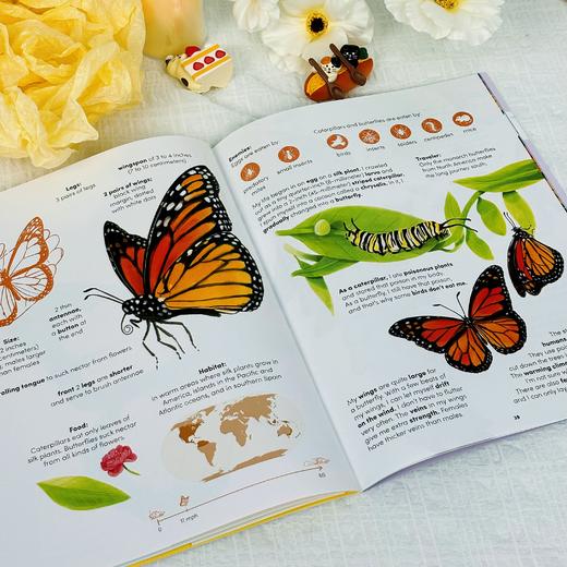 【Hop杂志】 原版英文儿童期刊 商品图2