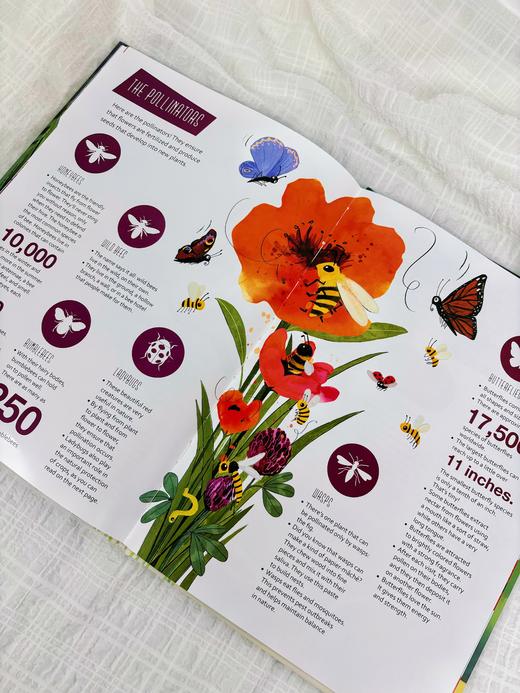 【Clavis】Animals in Need. 系列 原版英文儿童绘本 商品图5