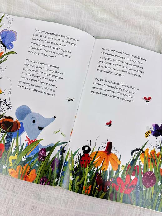 【Clavis】Animals in Need. 系列 原版英文儿童绘本 商品图4